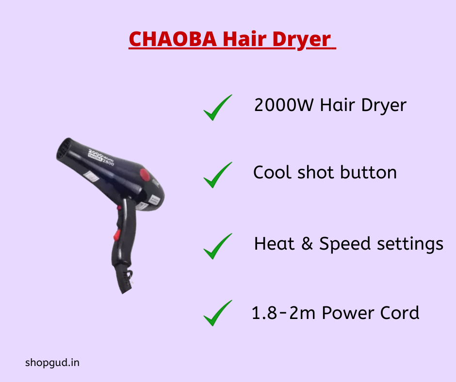 best hair dryer professional